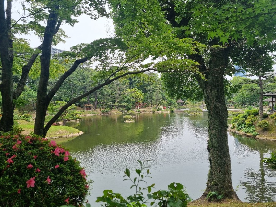 Shukkeien Gardens