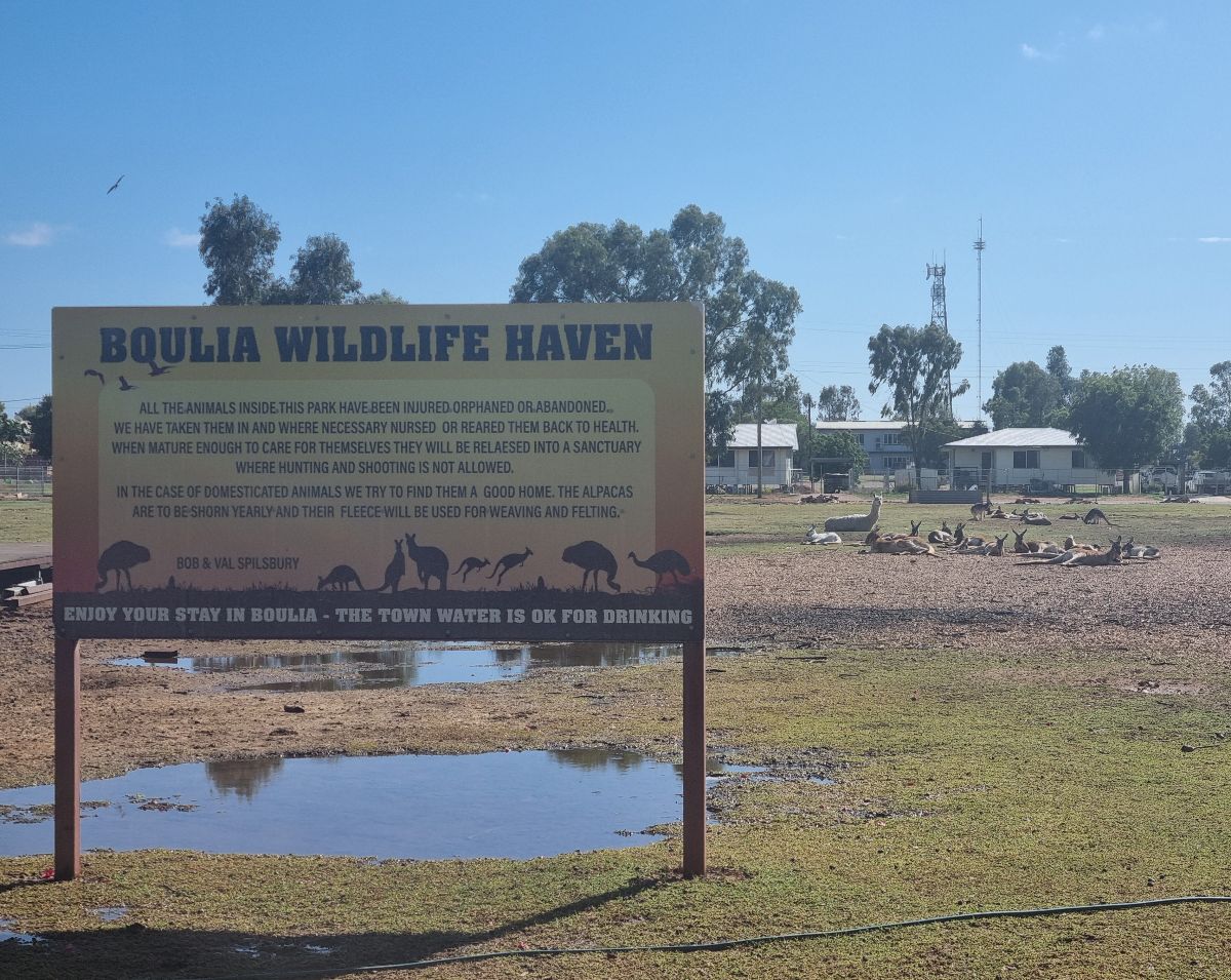At Boulia