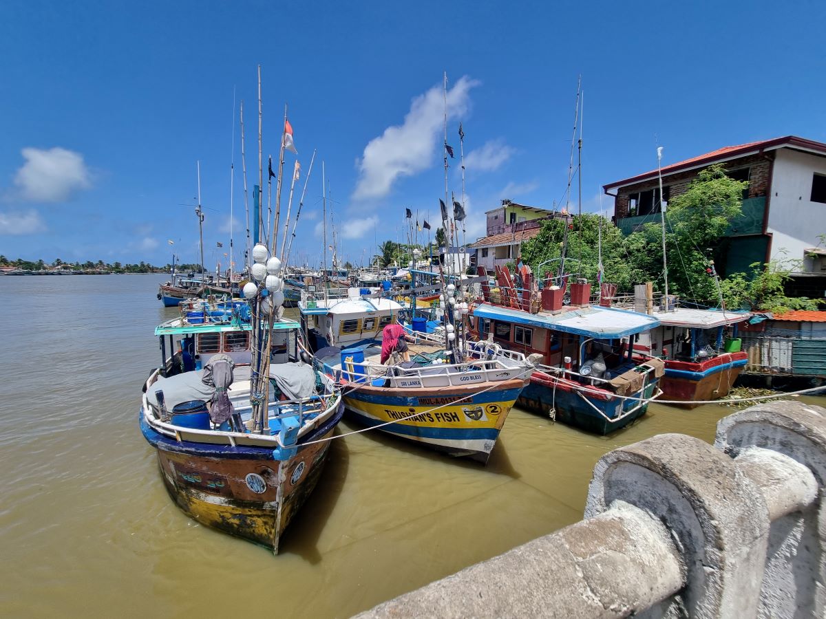 A busy fishing fleet.