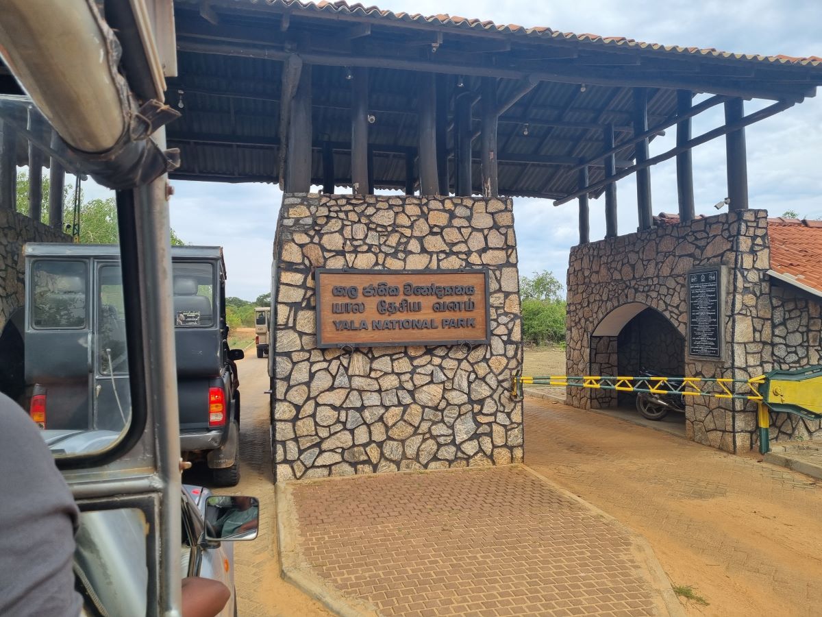 A safari in the Yala National Park.