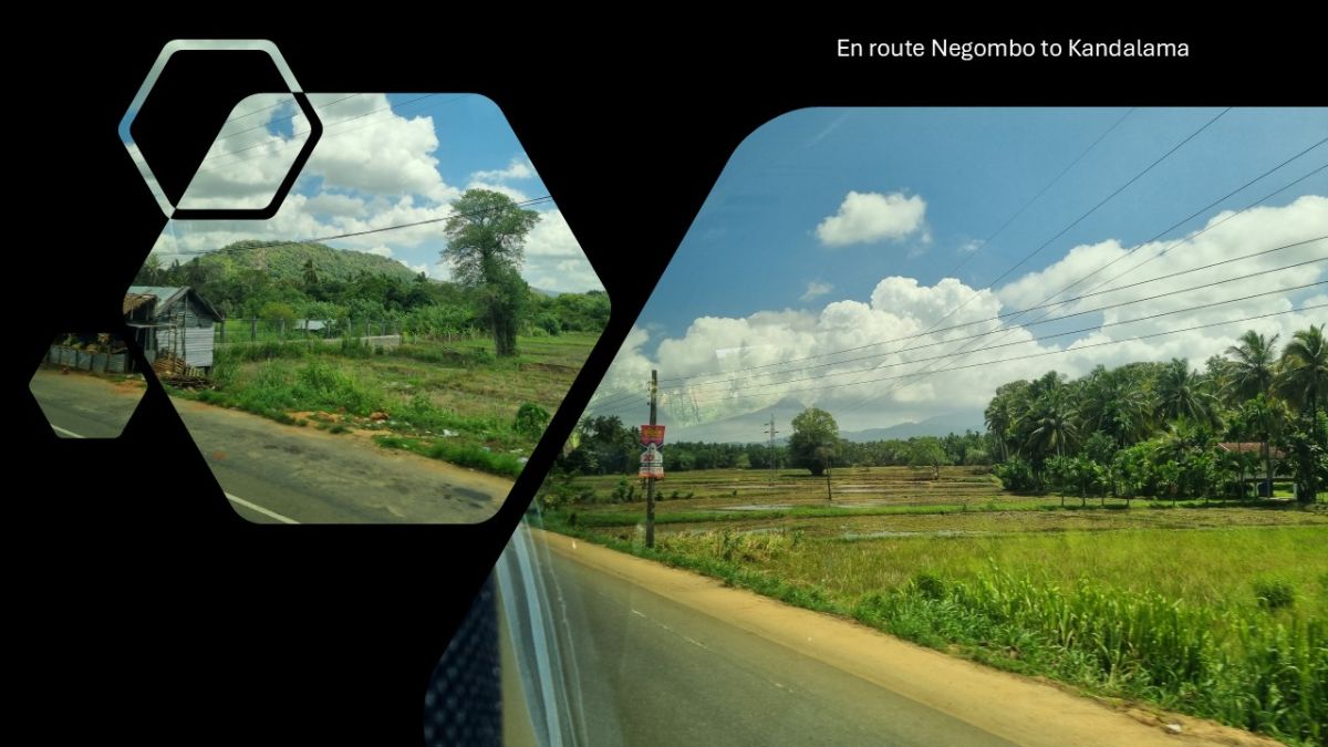 En route to Kandalama.