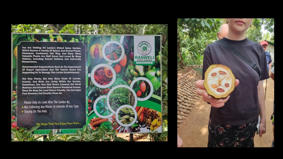 En route to Kandy, we stopped at a spice farm.