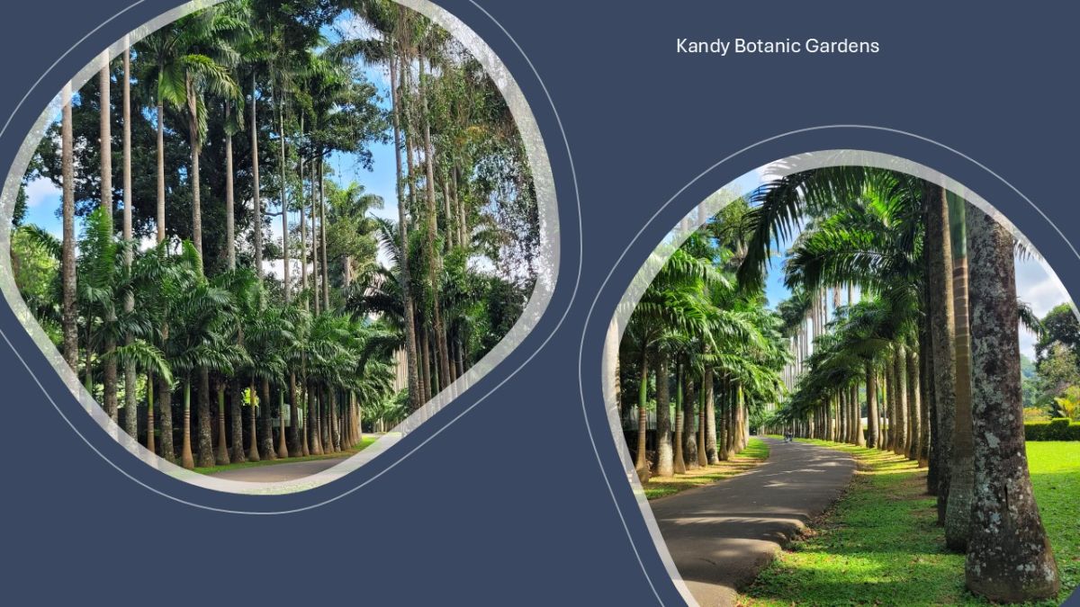Kandy Botanic Gardens