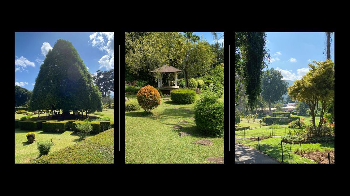 Kandy Botanic Gardens