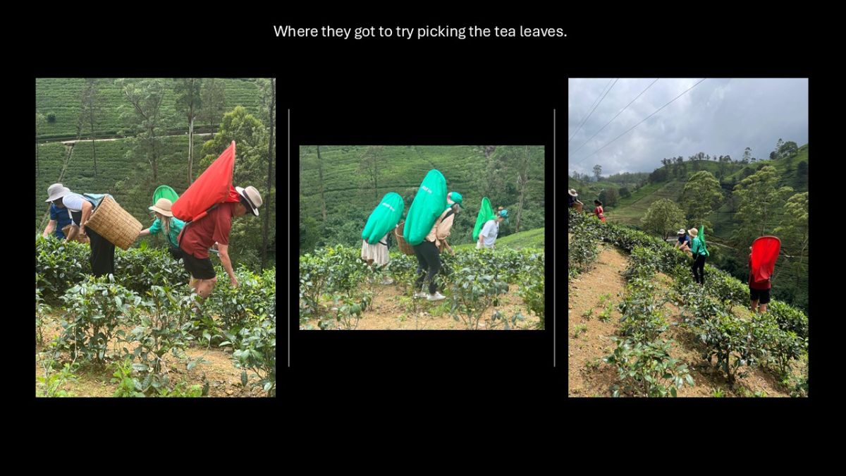 And visited a tea plantation.