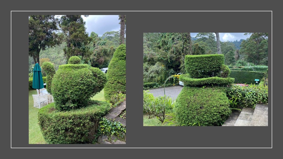 Our hotel in Nuwara Eliya.