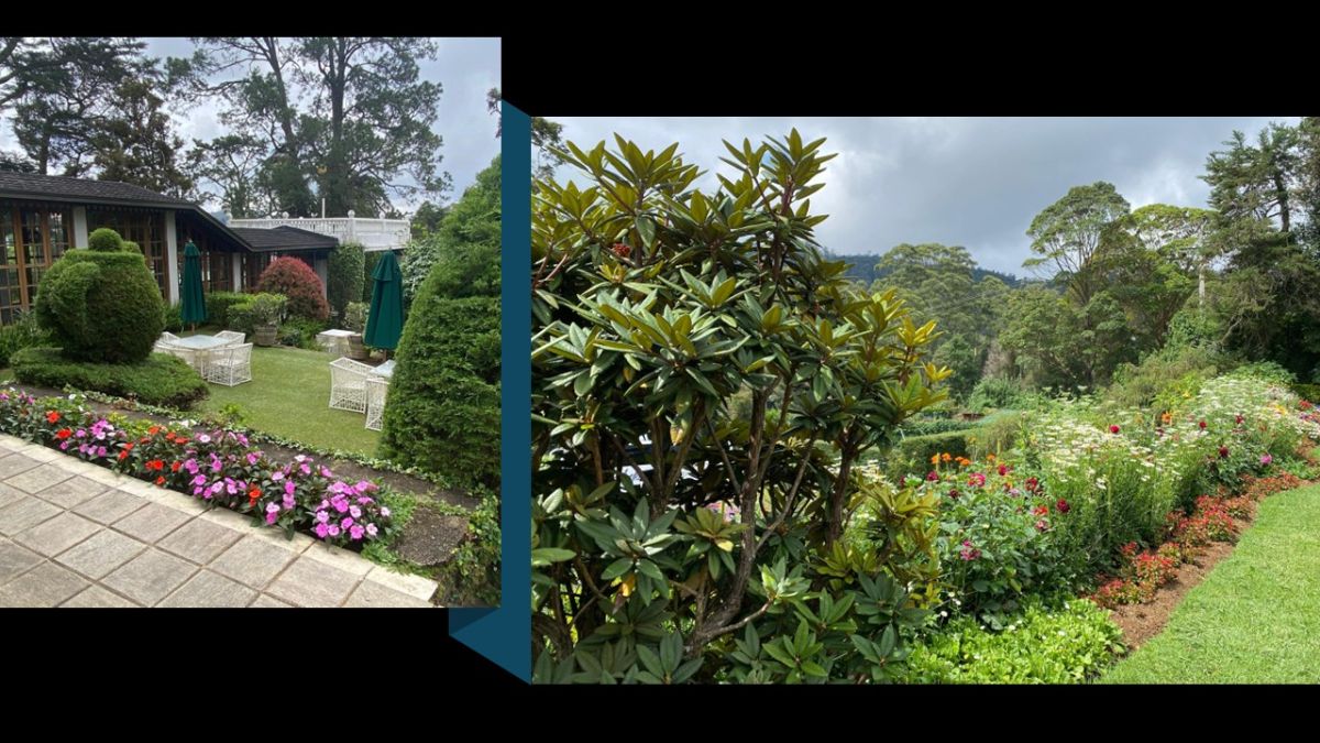 Our hotel in Nuwara Eliya.
