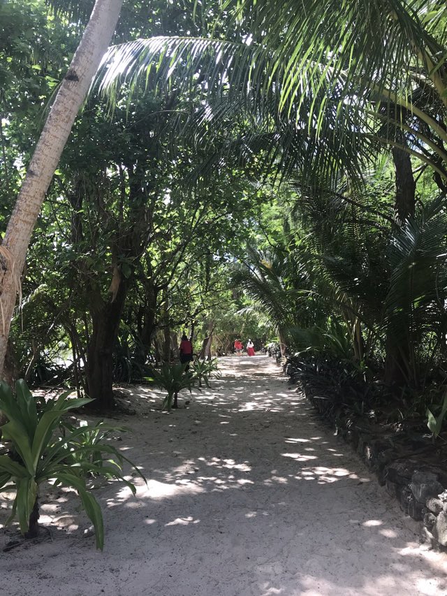 At Lifou, New Caledonia.