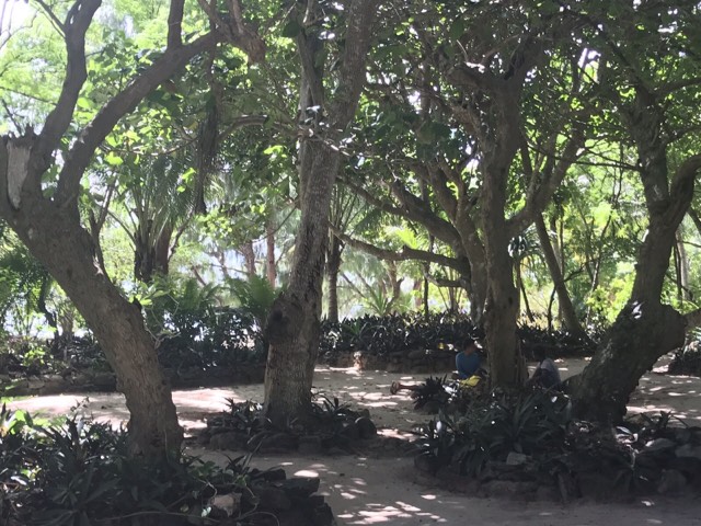 At Lifou, New Caledonia.