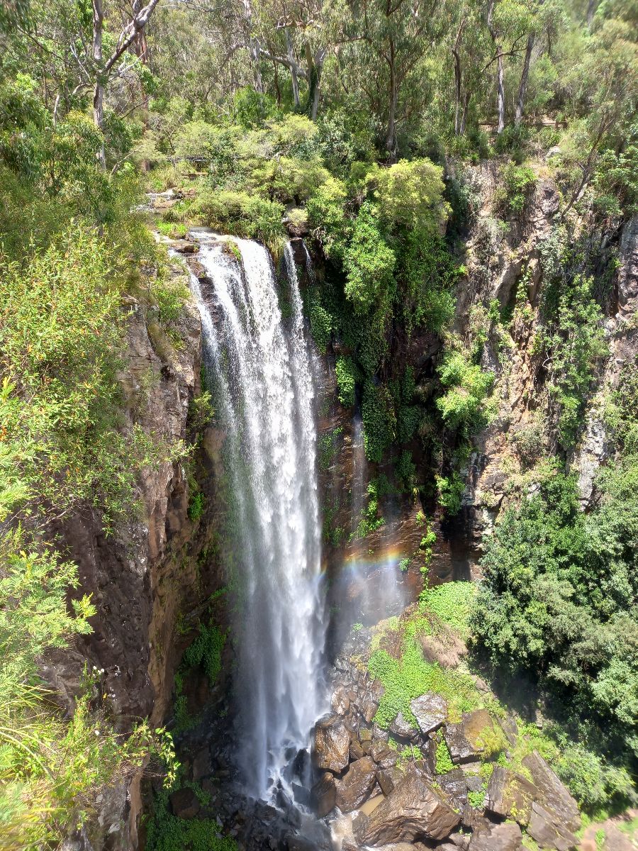 Hiking on the Scenic Rim.