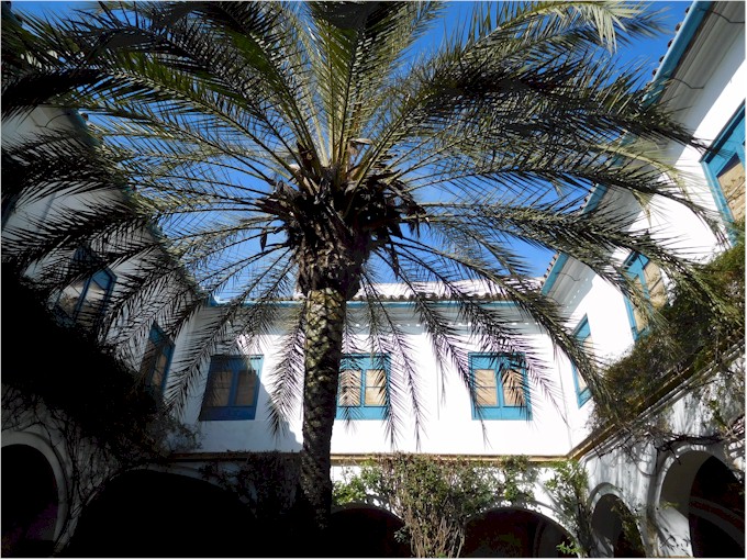 A really pretty courtyard.