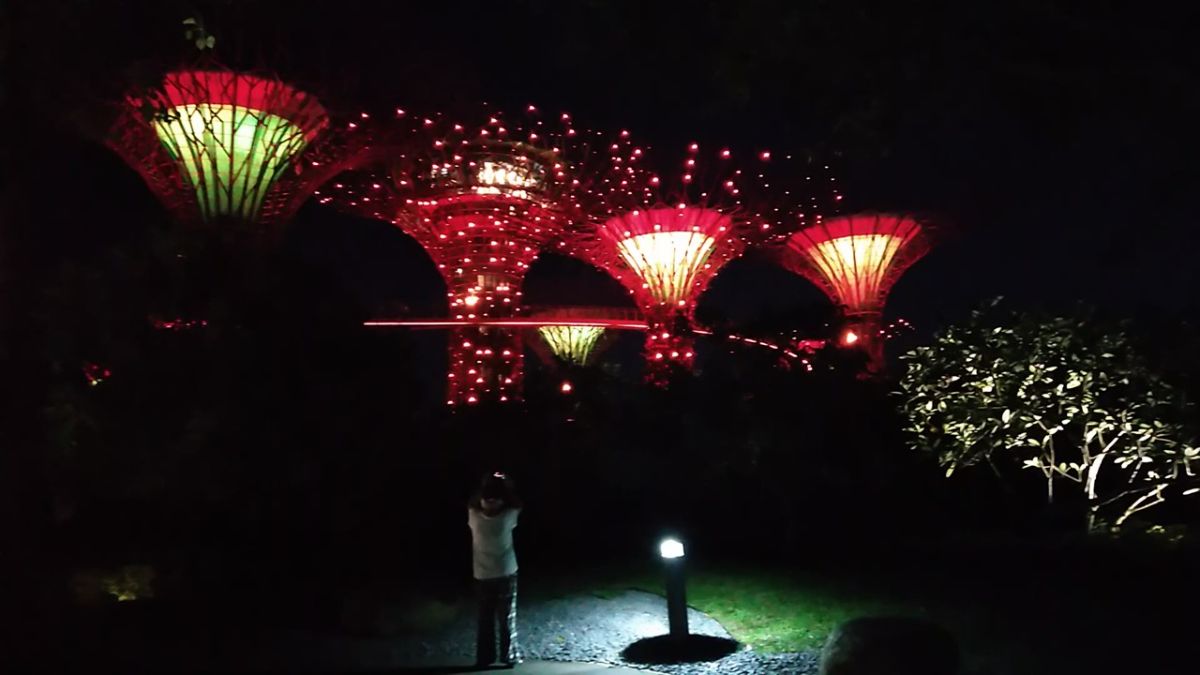Sound & Light show, Botanical gardens, Singapore