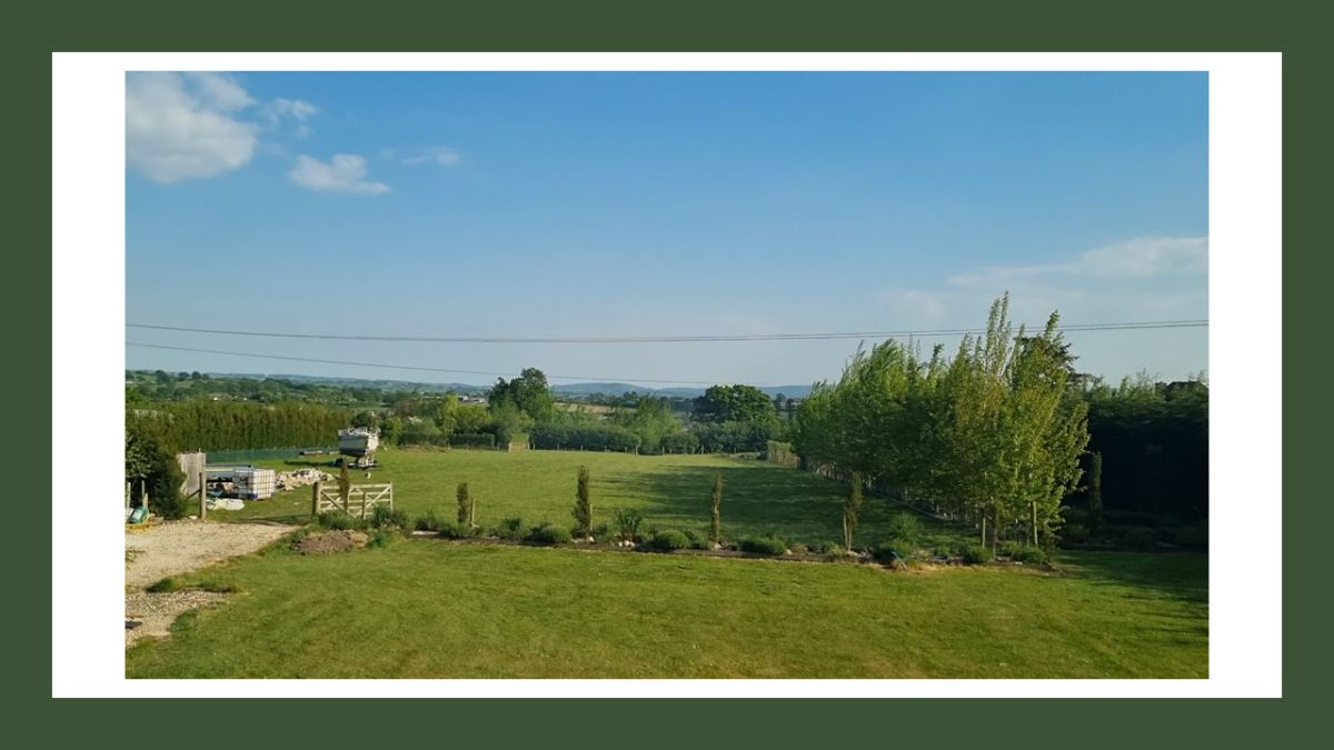 Views from the house over their land.