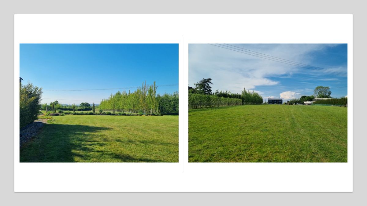 Views from the house over their land.