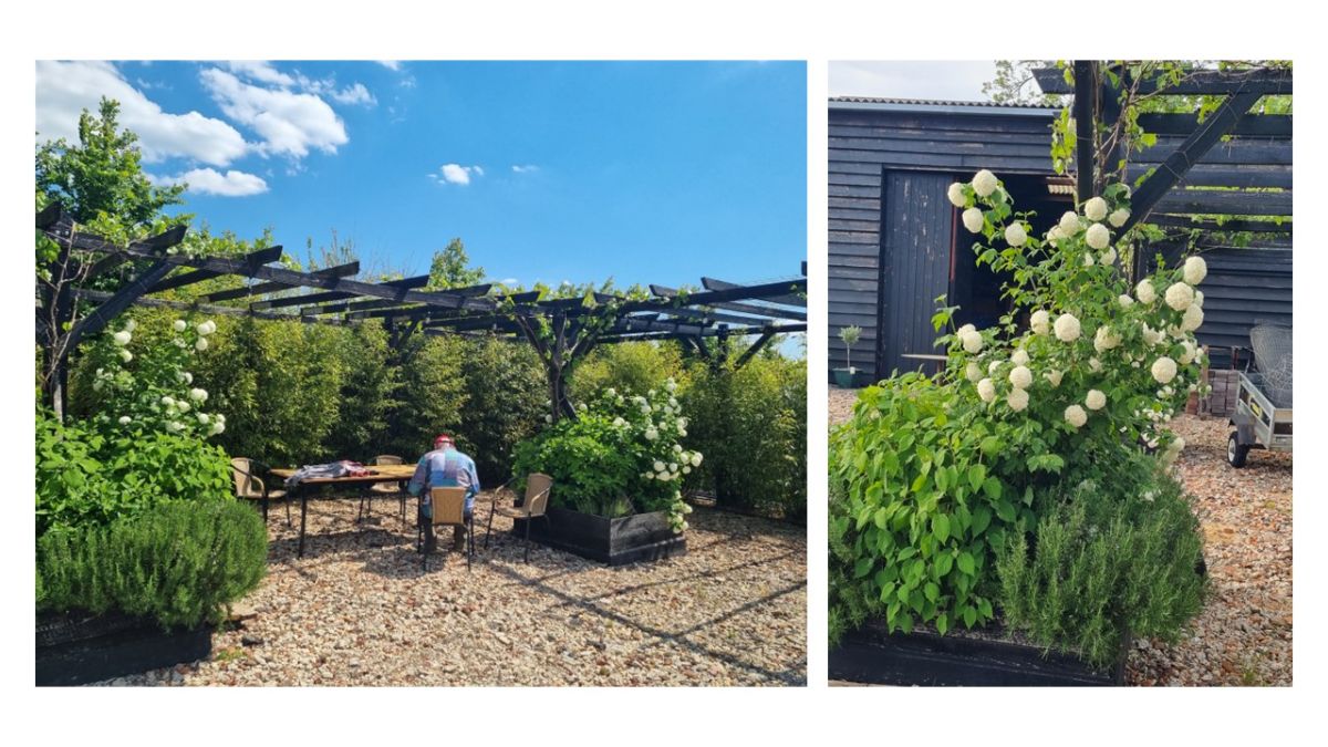 And the lovely pergola off the barn.