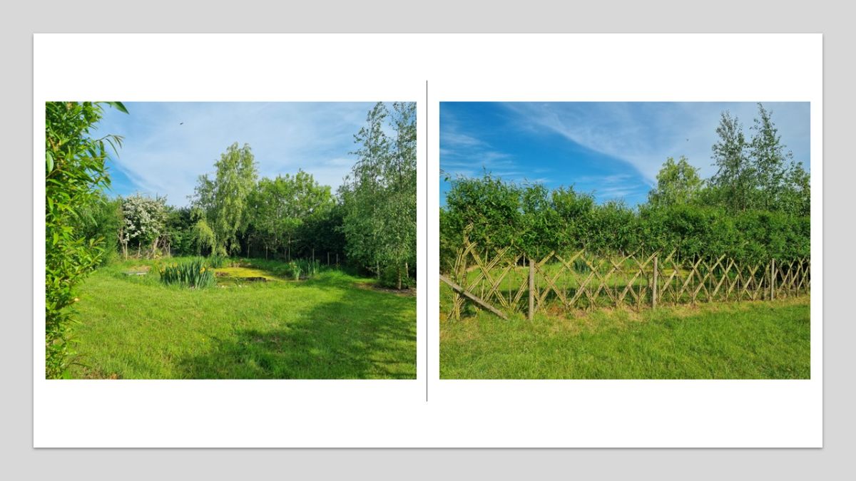 And willow fences looking lovely.