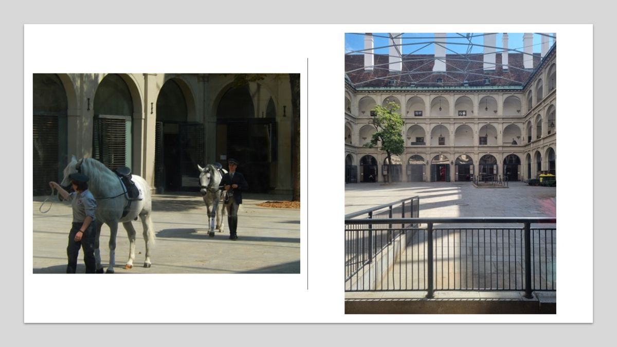 Walking tour of Vienna