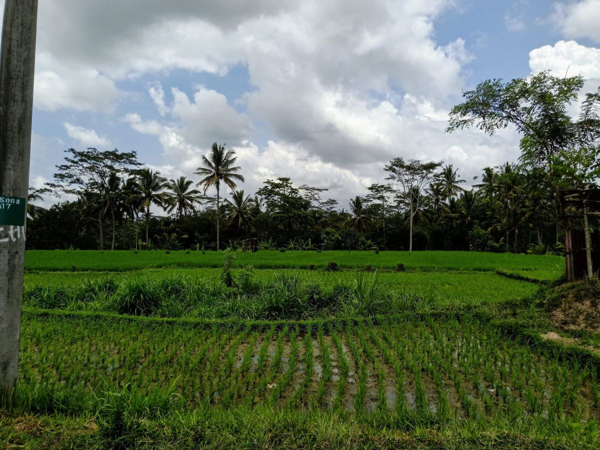 Bicycle Tour 05Dec19
