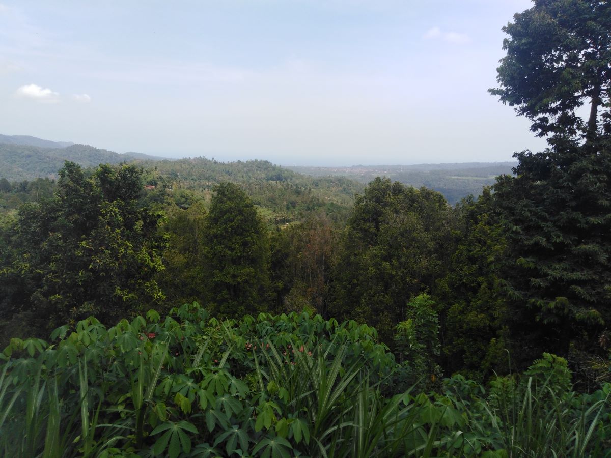 Trip from Denpasar to Pemuteran 13Dec19