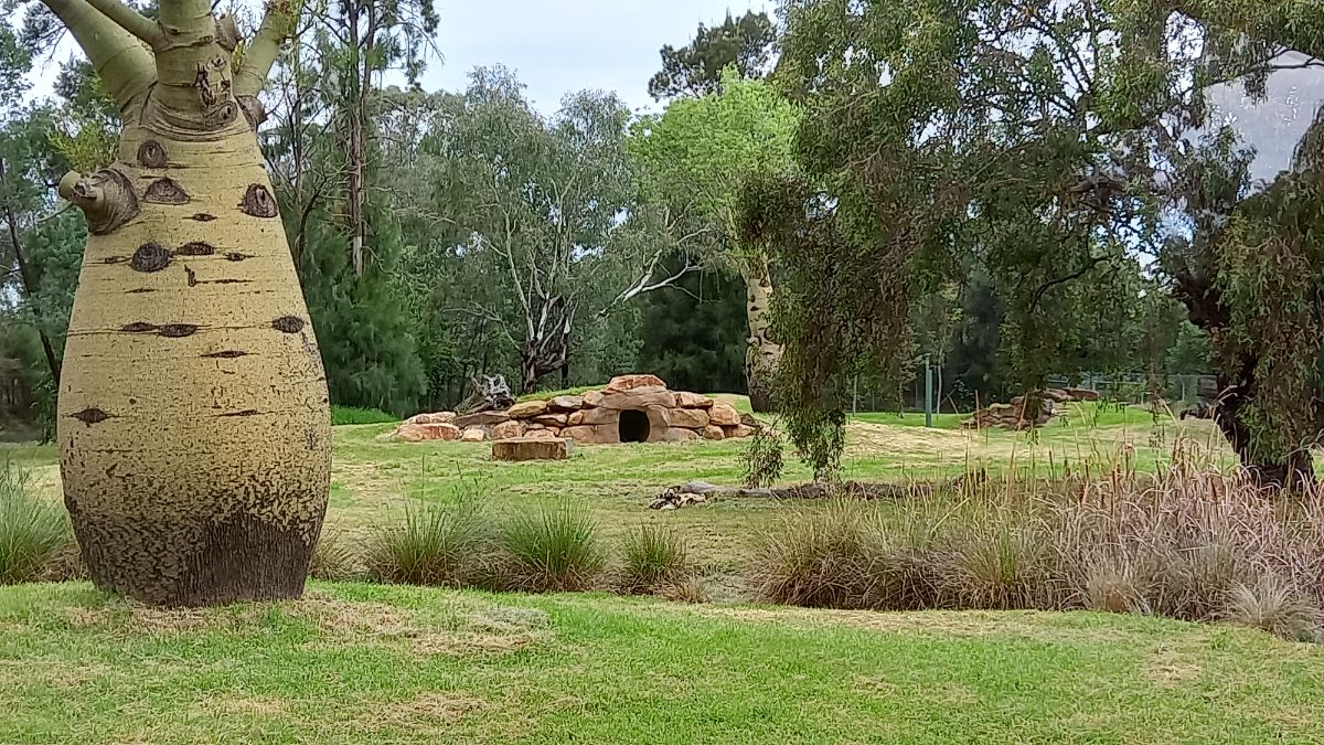 A trip to the Dubbo Zoo