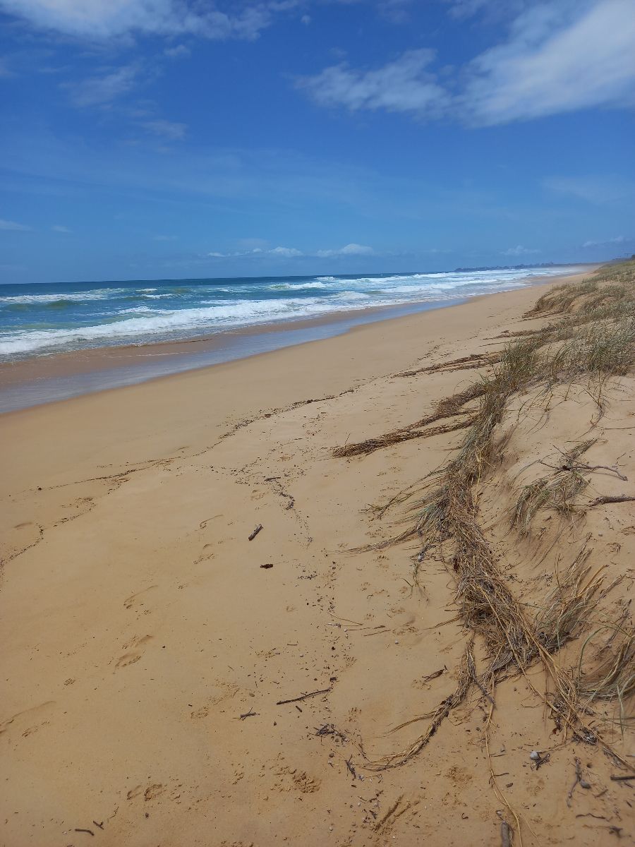 Then south towards Dicky Beach