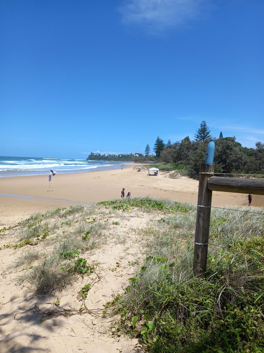 Crossing another creek to Moffat Beach