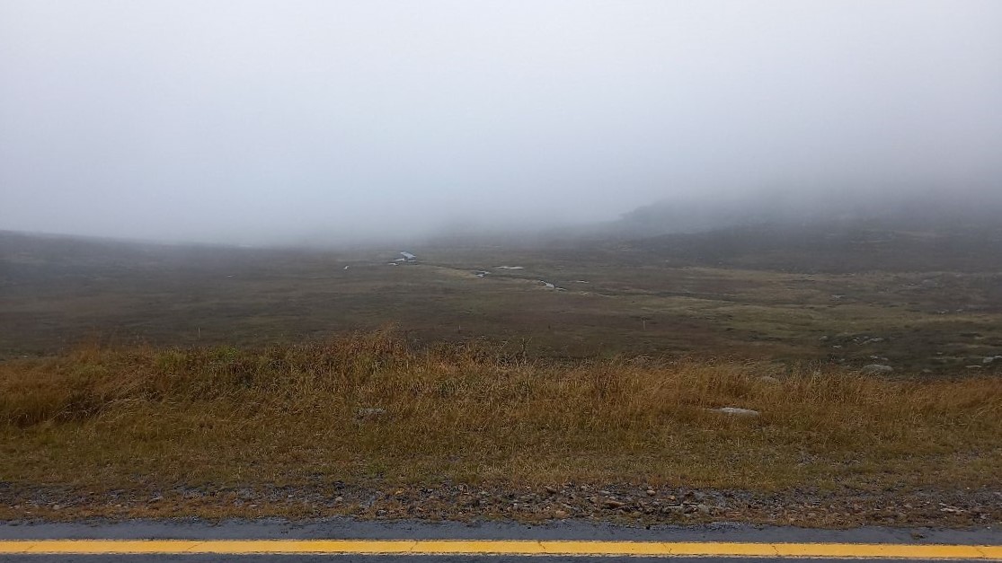 The next day was misty and cold