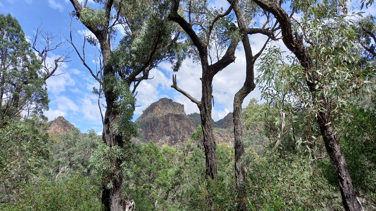 Warrumbungle National Park 