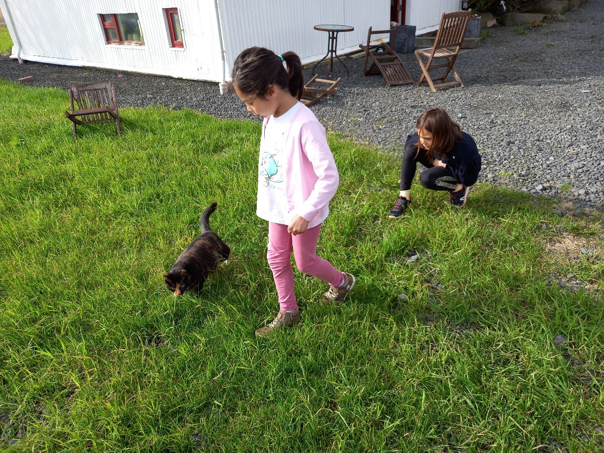At Selfoss