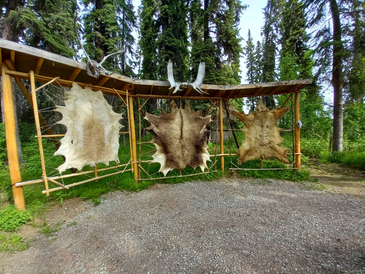 A tour of an authentic Athabaskan village