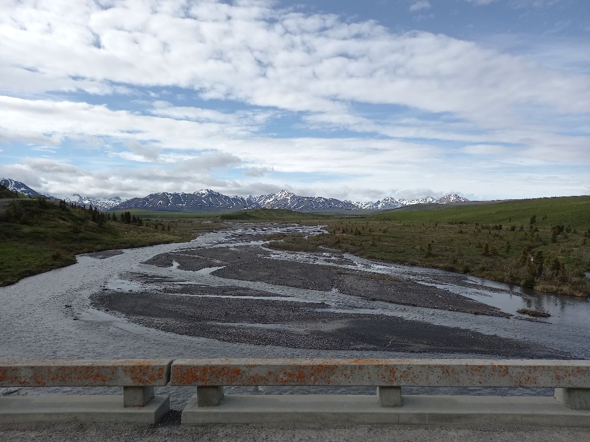 A tour of Denali National Park