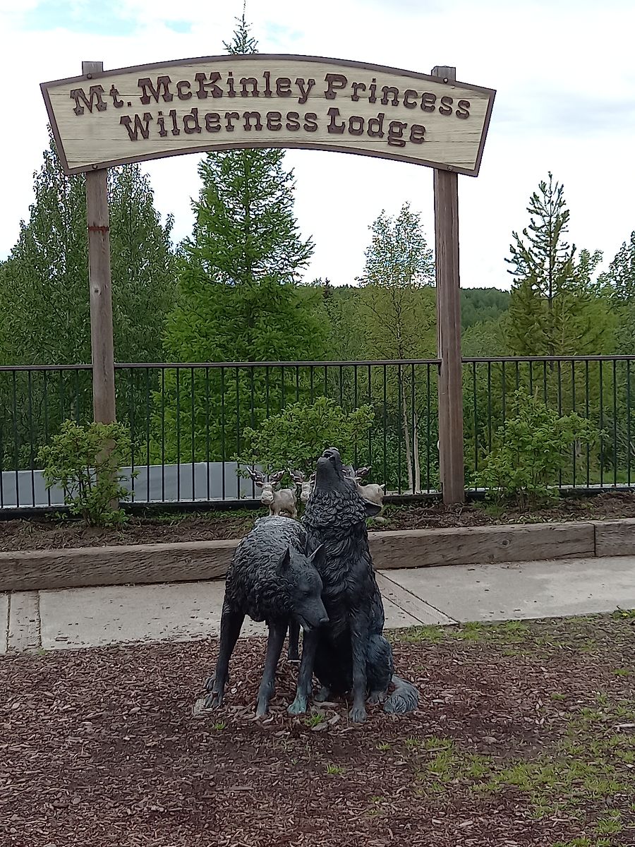 Mt McKinley Wilderness Lodge for the next night