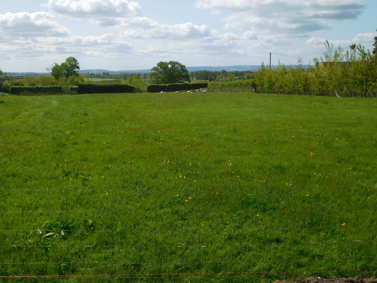 Their fences and trees are growing well