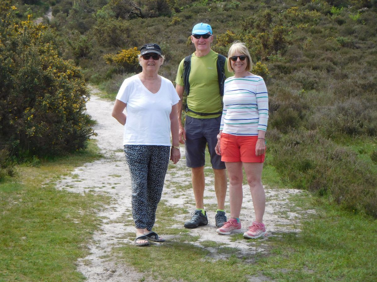 A walk in the New Forest