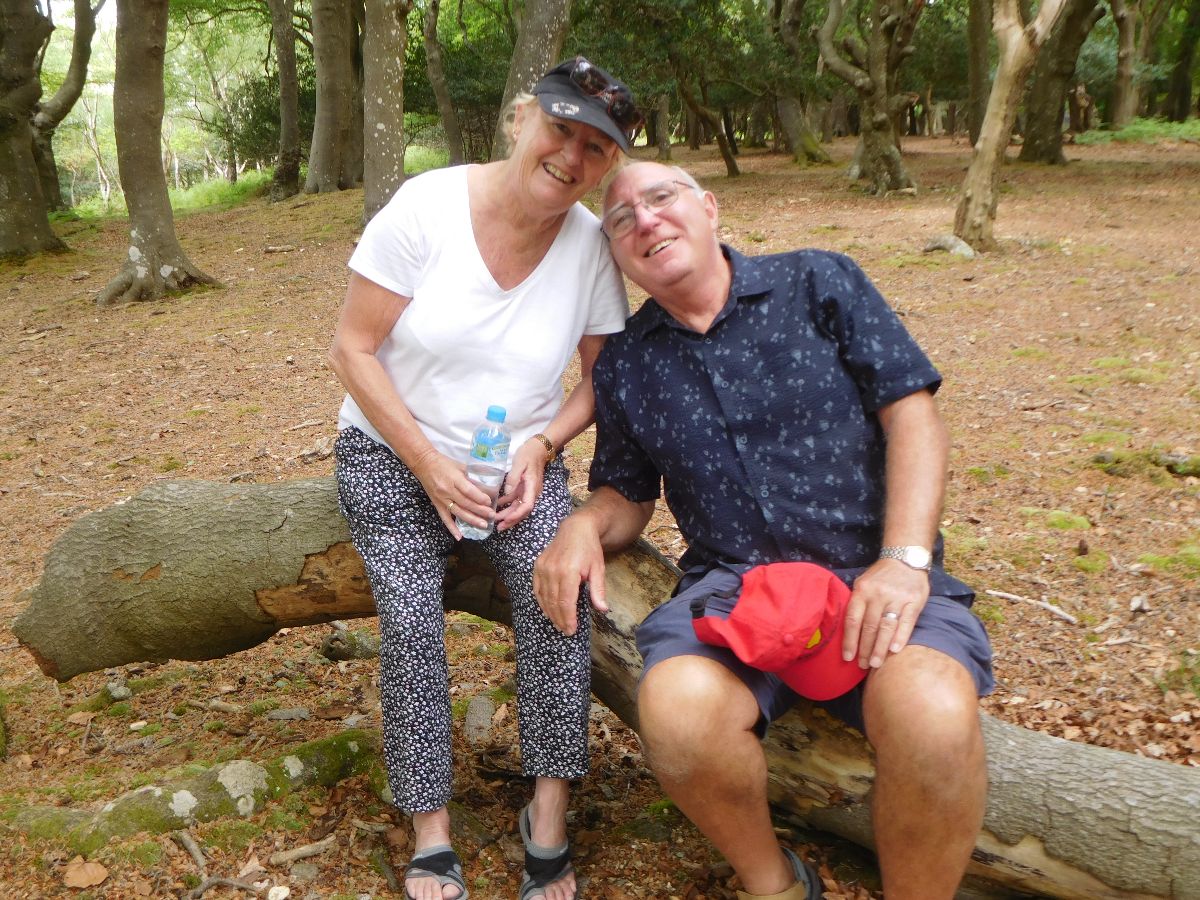 A walk in the New Forest