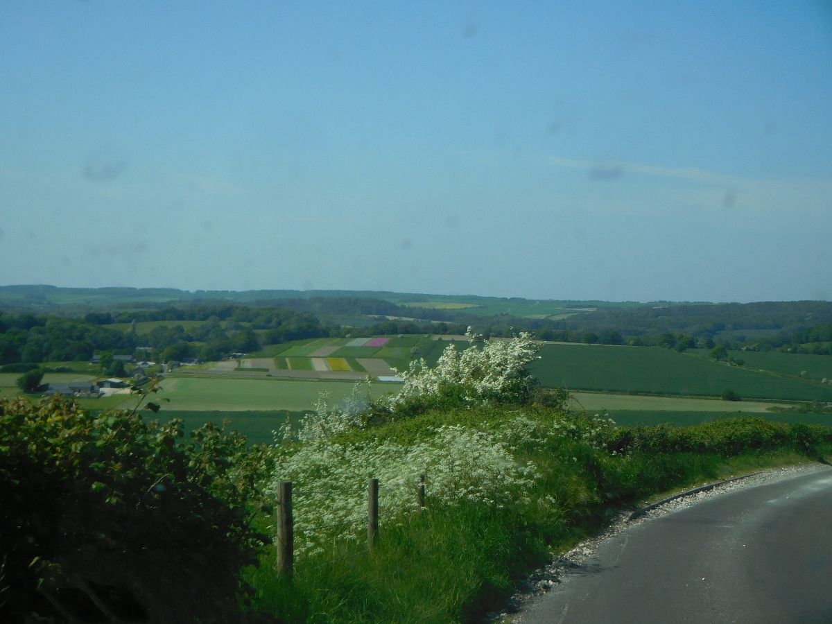 Dorset is certainly beautiful