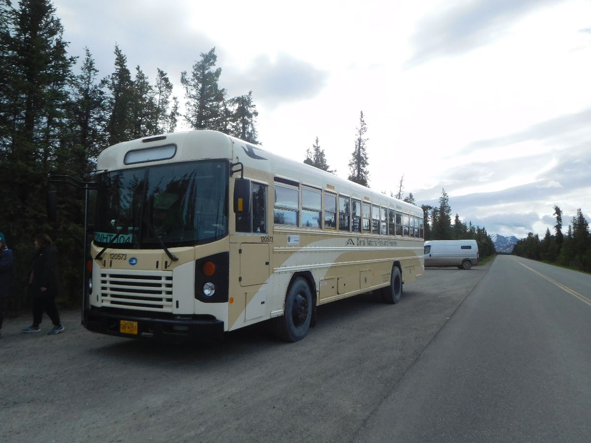 A bus tour of Denali National Park