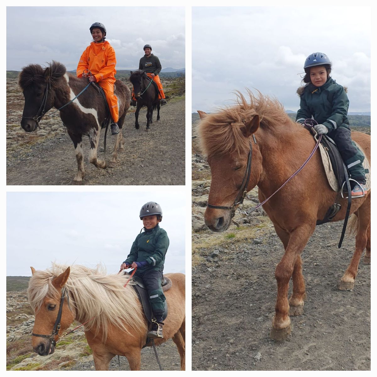 The girls enjoyed a horse riding day