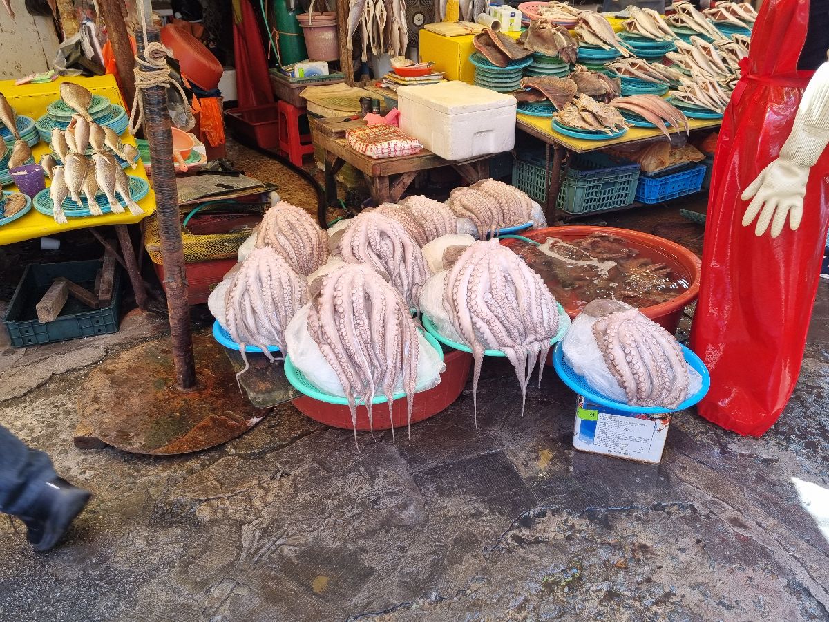 The Jagalchi Fish Market