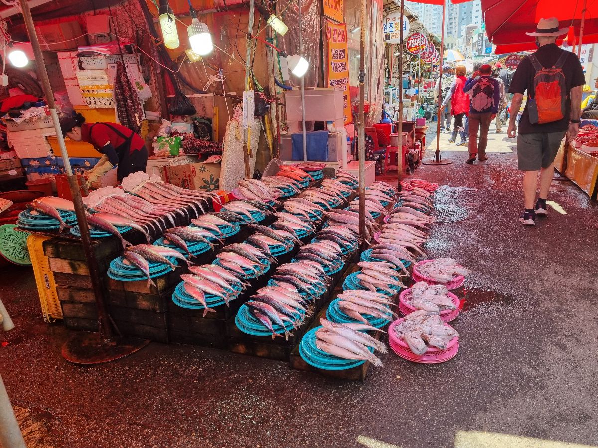 The Jagalchi Fish Market
