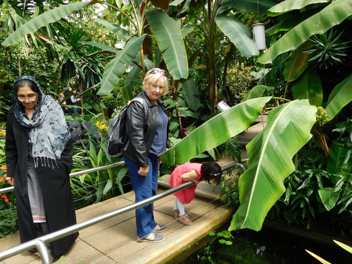 kew gardens (22)