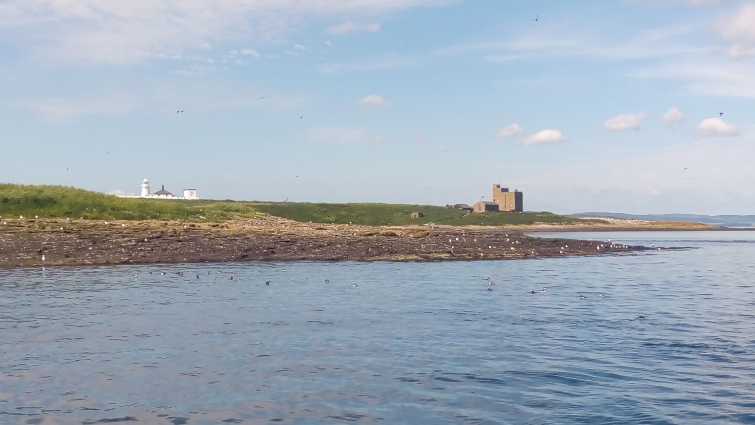 lindisfarne (137)