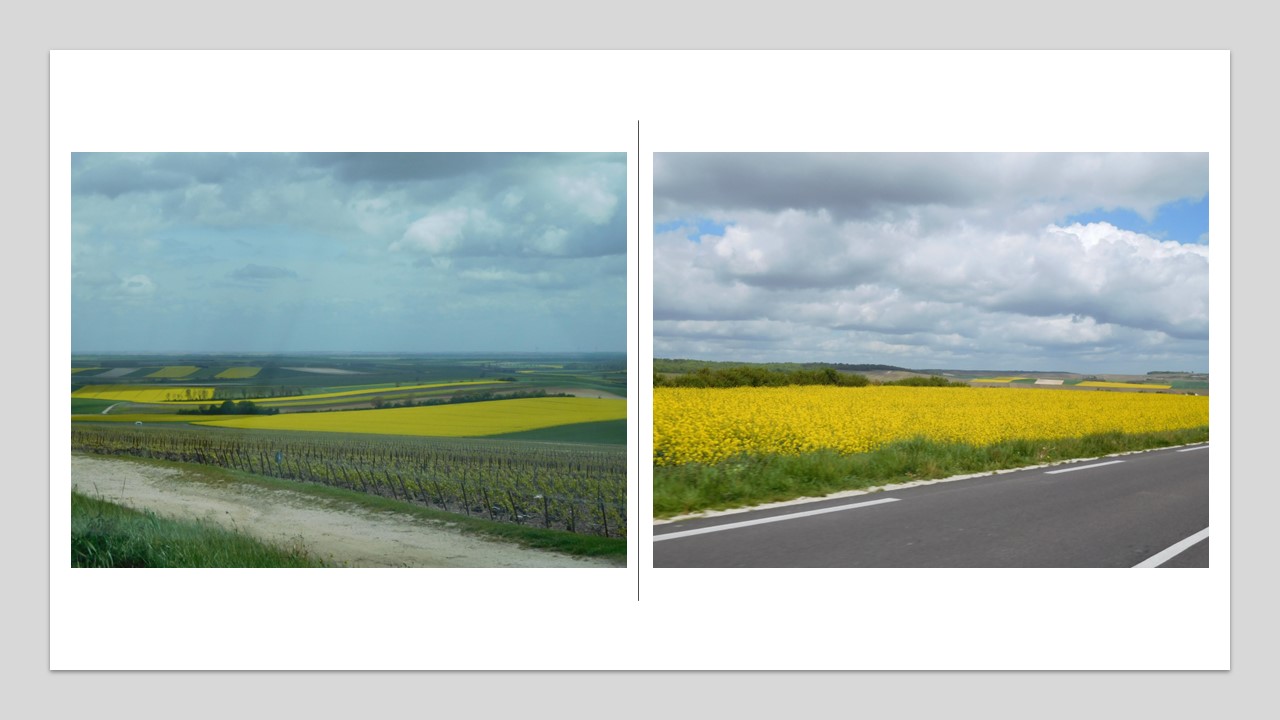 on the road to epernay